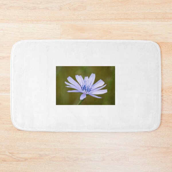 Item preview, Common chicory designed and sold by Anita van Gendt.