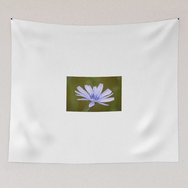 Item preview, Common chicory designed and sold by Anita van Gendt.