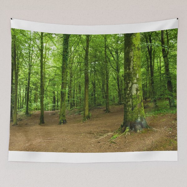 Item preview, Fforest Fawr Woods north of Cardiff designed and sold by Cameranick.