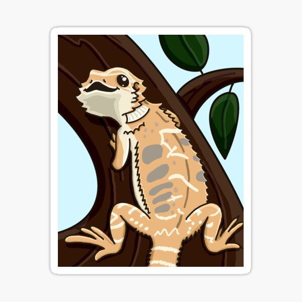 Bearded Dragon Sticker