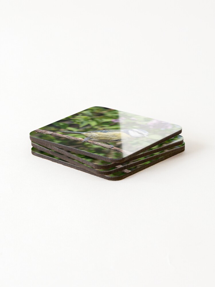 Alternate view of A Blue Tit perching on a branch Coasters (Set of 4)