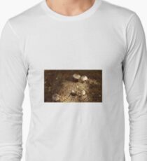 Fairyland Long Sleeve T-Shirt