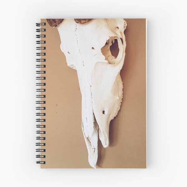 Item preview, Toffee Skull designed and sold by Elsabe Smith.