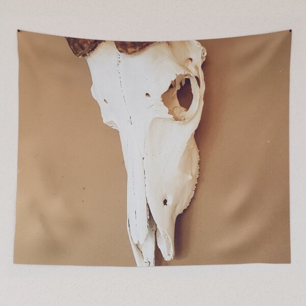 Item preview, Toffee Skull designed and sold by Elsabe Smith.
