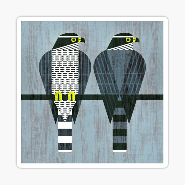Northern Goshawk Sticker