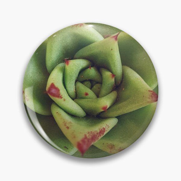 Item preview, Lipstic Rose designed and sold by Elsabe Smith.