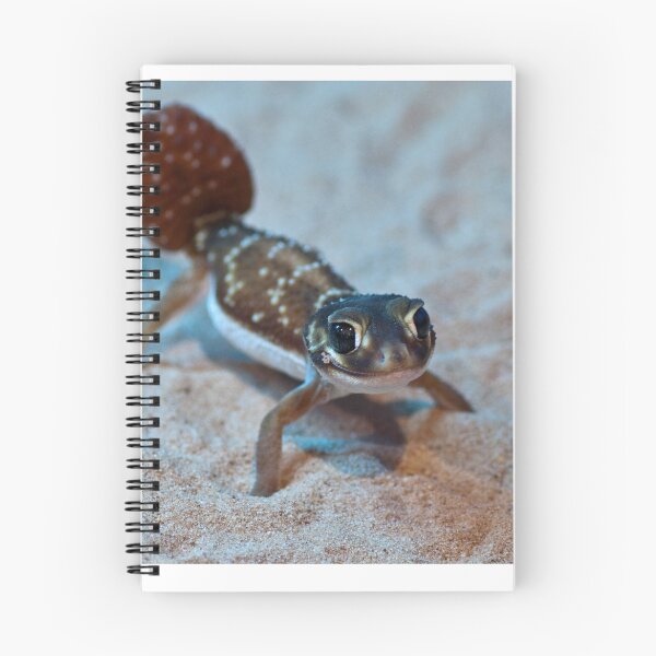 Artikelvorschau, Smooth Knob-tailed Gecko entworfen und verkauft von Bernie Rosser.