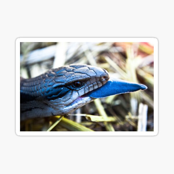 Item preview, Blue designed and sold by Bernie Rosser.