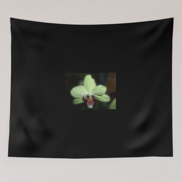 Item preview, Single Green Orchid designed and sold by rom01.