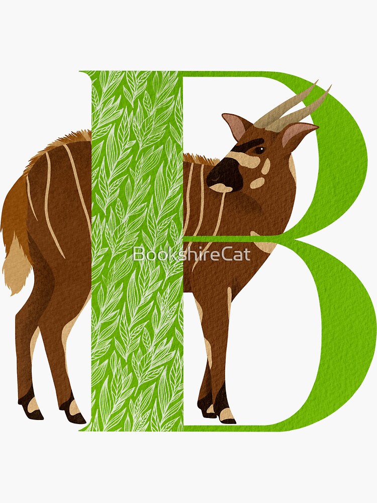 B is for bongo by BookshireCat