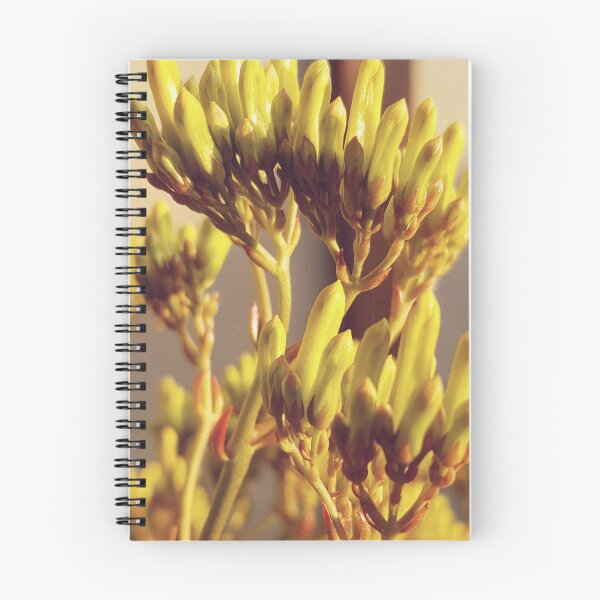 Item preview, Spring Blooms designed and sold by Elsabe Smith.
