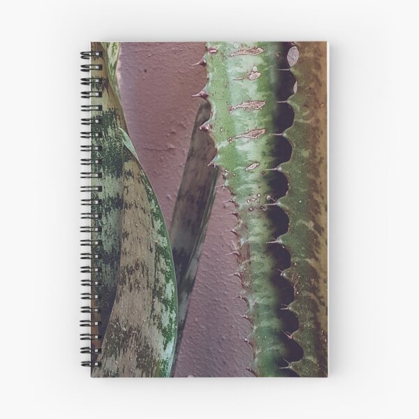 Item preview, Mother In Law's Tongue designed and sold by Elsabe Smith.