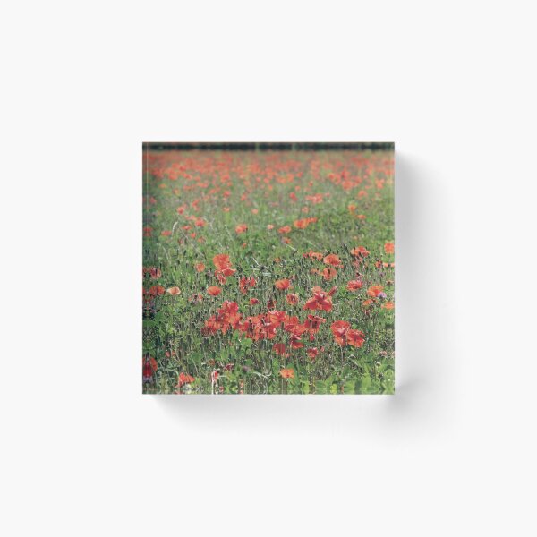 Aperçu de l'œuvre Champ de coquelicots créée et vendue par DaveBond.