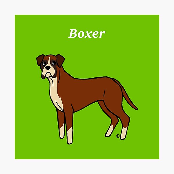 Boxer Photographic Print