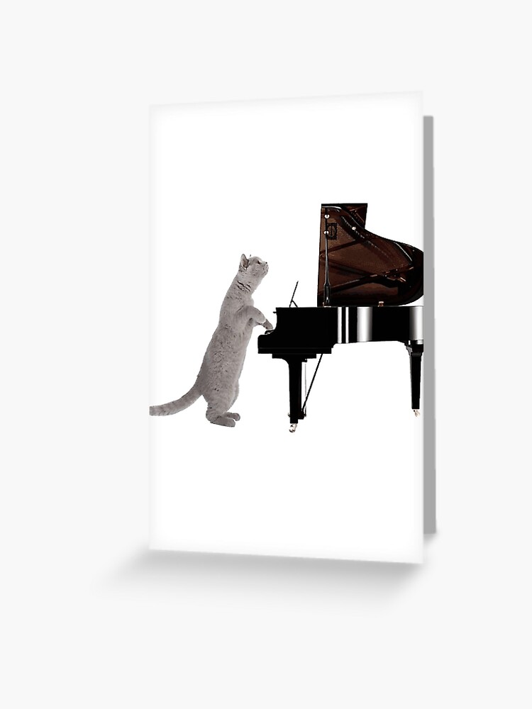 Meow-Piano