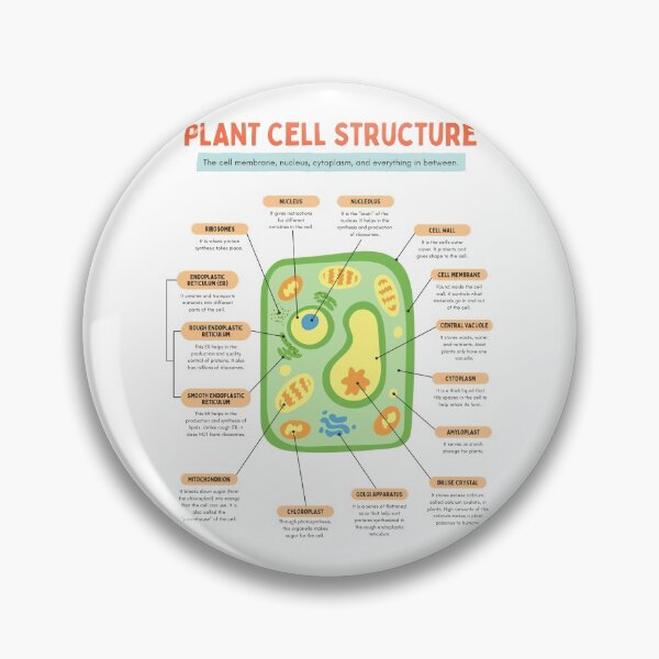 Item preview, Plant cell structure designed and sold by TheRightHonMP.