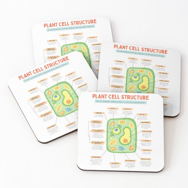 Item preview, Plant cell structure designed and sold by TheRightHonMP.
