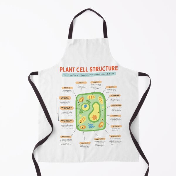 Item preview, Plant cell structure designed and sold by TheRightHonMP.