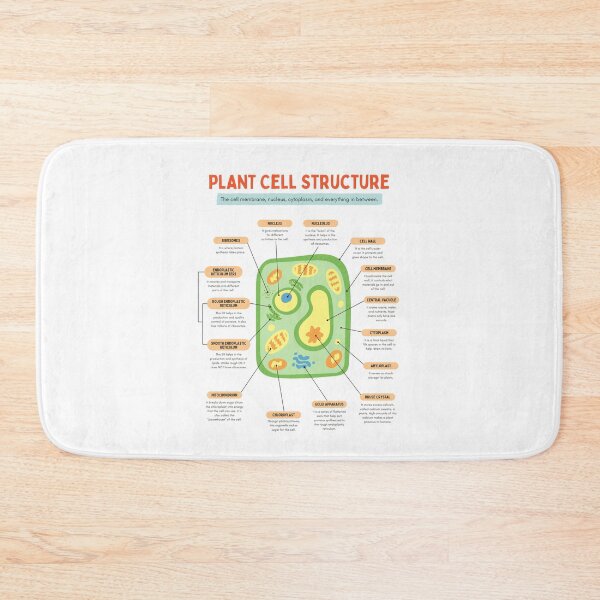 Item preview, Plant cell structure designed and sold by TheRightHonMP.