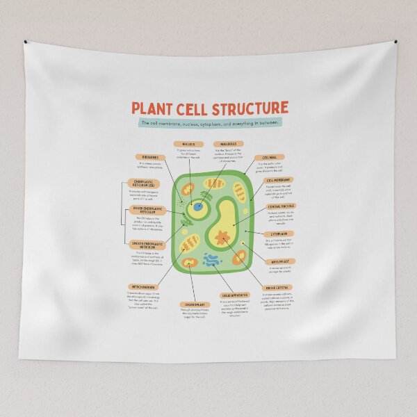 Item preview, Plant cell structure designed and sold by TheRightHonMP.