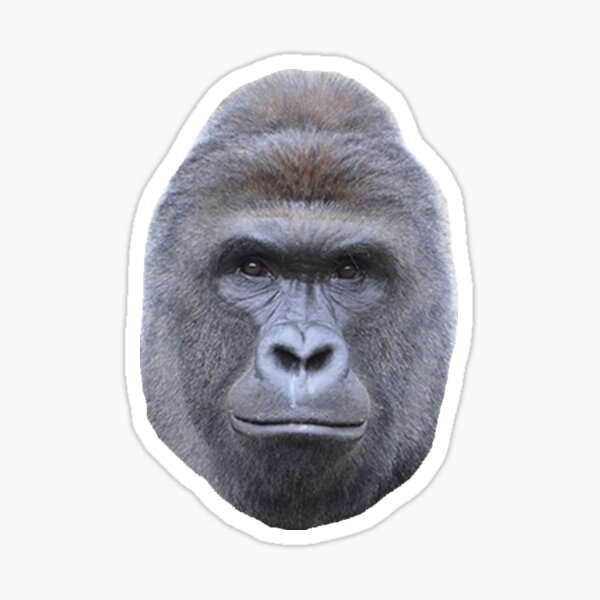 Funny Gorilla Gifts Merchandise Redbubble - harambe memorial roblox