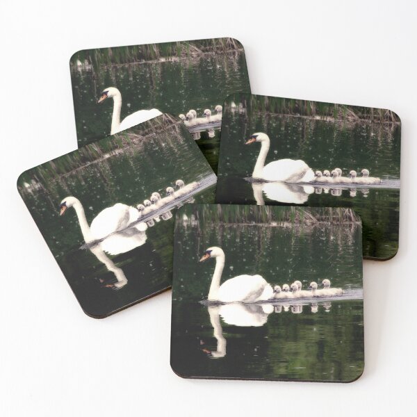 Item preview, Mother Mute Swan with Six Babies Swimming in Pond designed and sold by Stephen Orsillo.