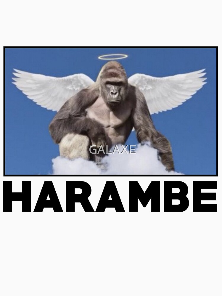 HARAMBE by GALAXE