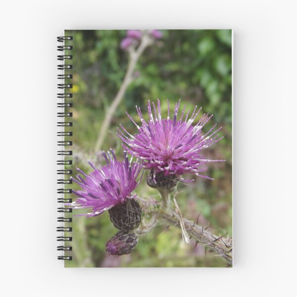 Item preview, Purple Thistle designed and sold by RuralExotic.