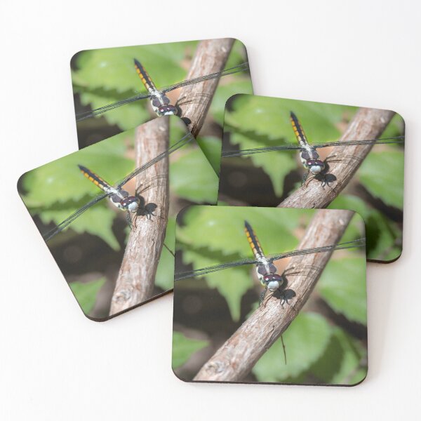 Item preview, Skimmer Dragonfly On A Limb by Debra Martz designed and sold by Debra Martz.