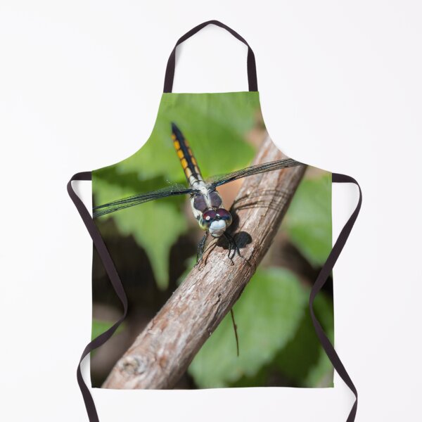 Item preview, Skimmer Dragonfly On A Limb by Debra Martz designed and sold by Debra Martz.