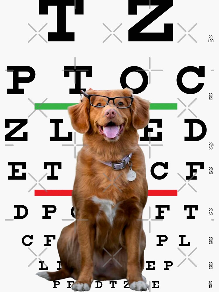 "Dog Eye test Letter original design" Sticker for Sale by roymerch