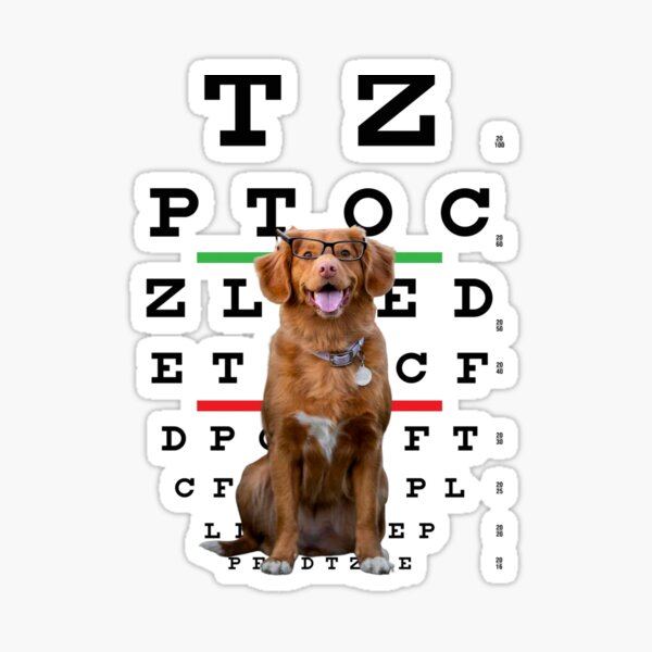 "Dog Eye test Letter original design" Sticker for Sale by roymerch