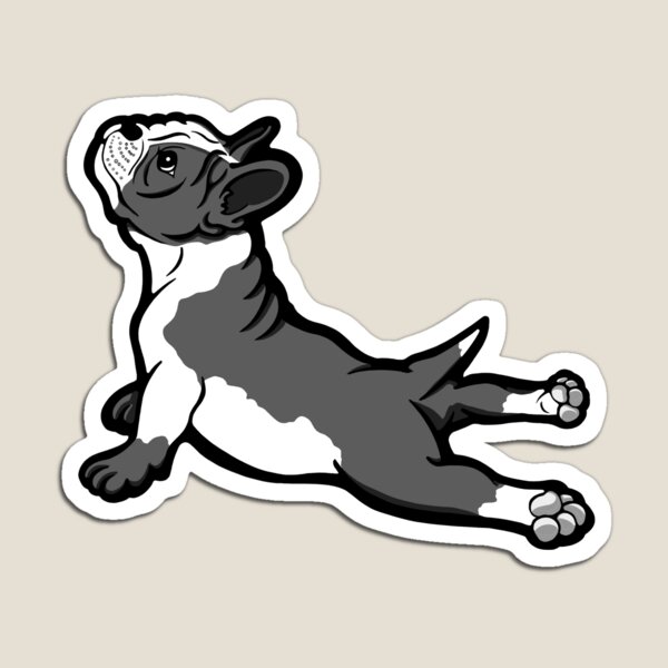 Boston Bull Terrier Puppy Black and White Magnet