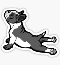 Boston Bull Terrier Welpe schwarz und weiß Sticker