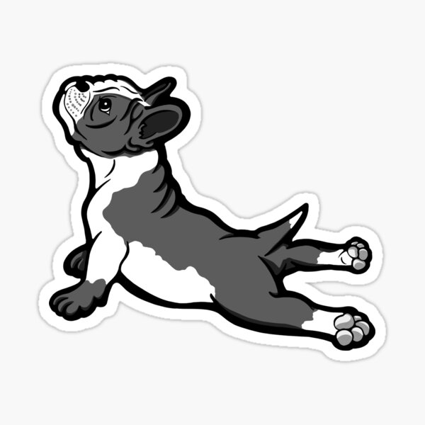 Boston Bull Terrier Puppy Black and White Sticker