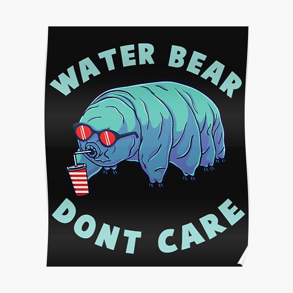 "Water Bear Dont Care.png" Poster by JhorjanaPortil Redbubble