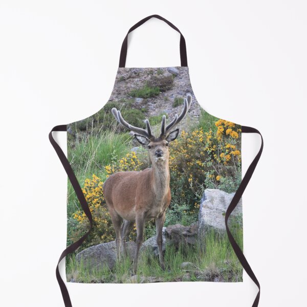 Item preview, A Highland Stag amongst the Gorse designed and sold by beavo.