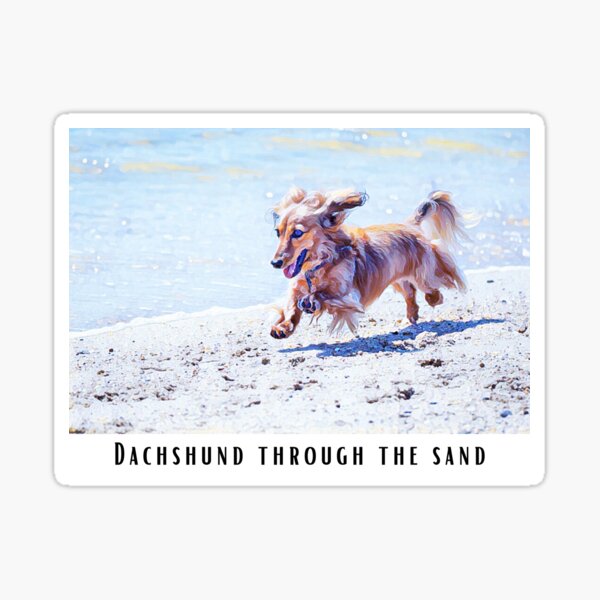 Item preview, Dachshund Through the Sand Funny Abstract Beach Dog Meme 2 designed and sold by PeriodicLabel.