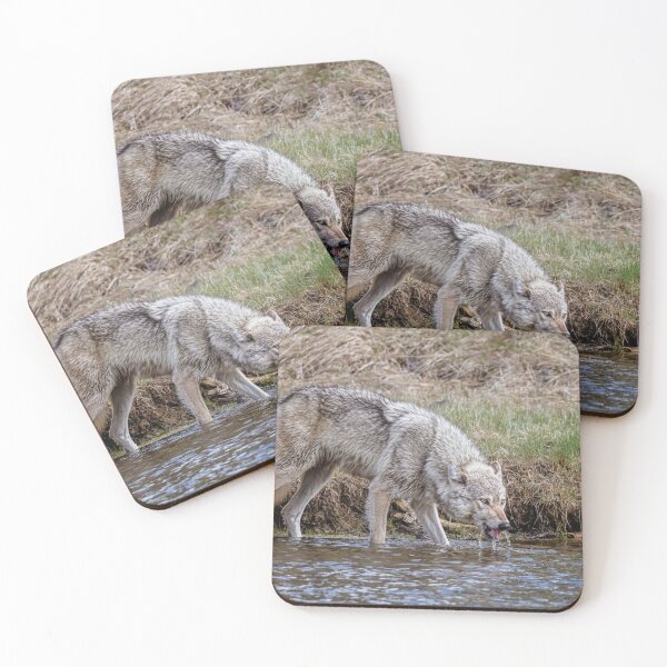 Item preview, Wolf Drinking at the River III designed and sold by PhotoArt by Joan Carroll.