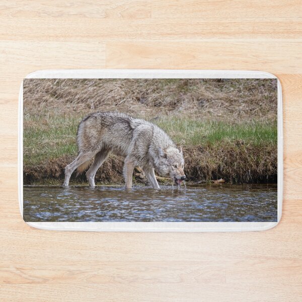 Item preview, Wolf Drinking at the River III designed and sold by PhotoArt by Joan Carroll.
