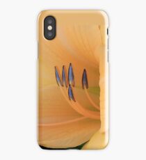 Gentle Arrows 2 iPhone Case/Skin