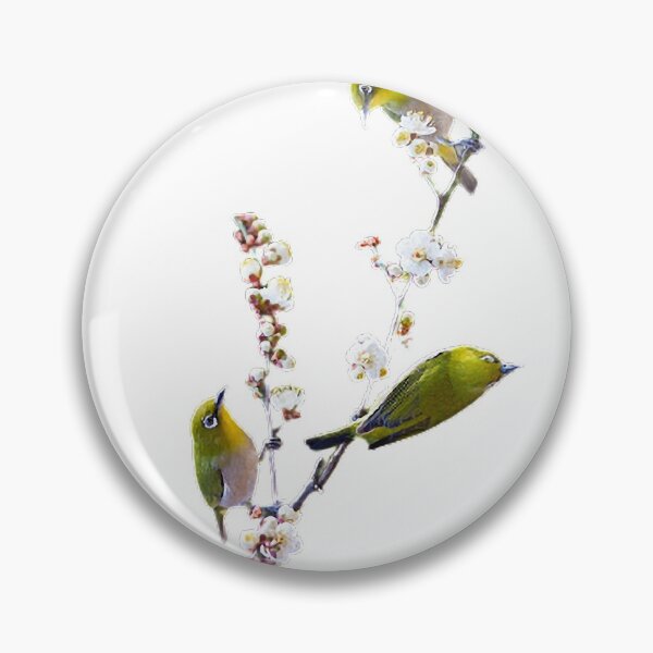 Item preview, Cape Parrot (Cape Parrot) This parrot is very similar to most parrots in body color, and it is difficult to distinguish without professional personnel designed and sold by zenger2021.