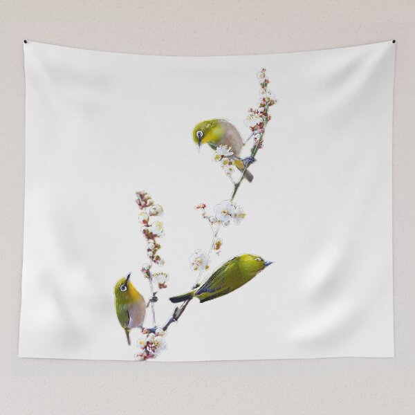 Item preview, Cape Parrot (Cape Parrot) This parrot is very similar to most parrots in body color, and it is difficult to distinguish without professional personnel designed and sold by zenger2021.