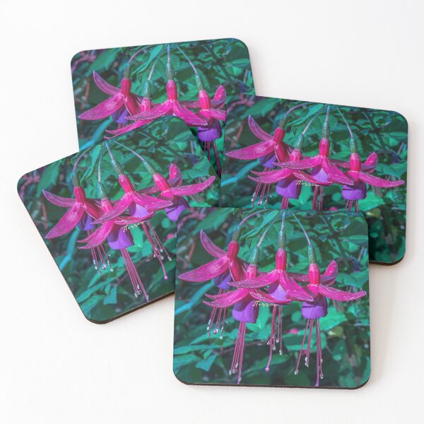 Item preview, Star Bouquet designed and sold by LibrosBOOKtique.