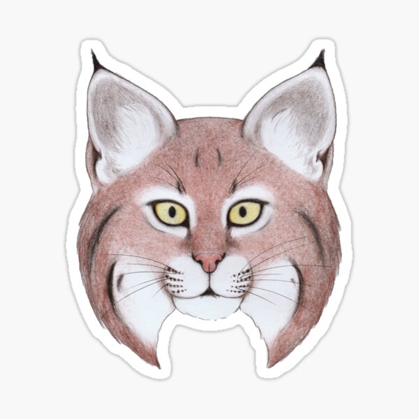 Bobcat Sticker