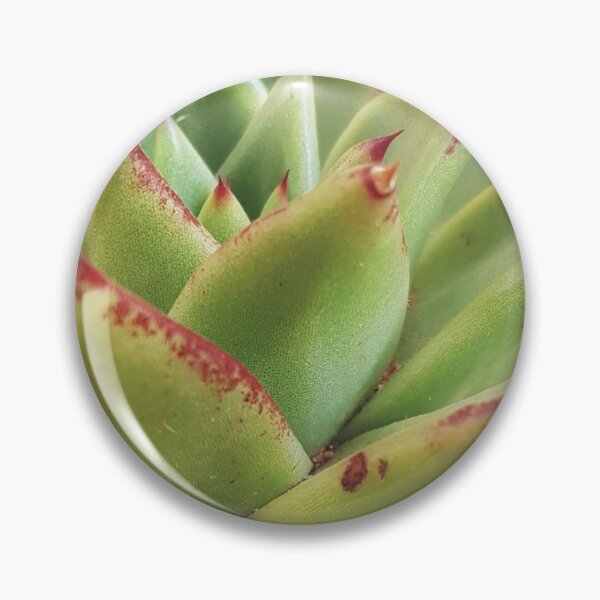 Item preview, Echeveria designed and sold by Elsabe Smith.