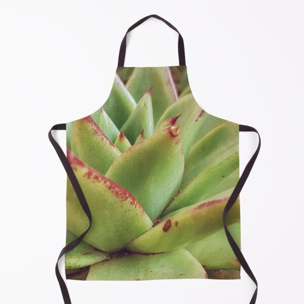 Item preview, Echeveria designed and sold by Elsabe Smith.