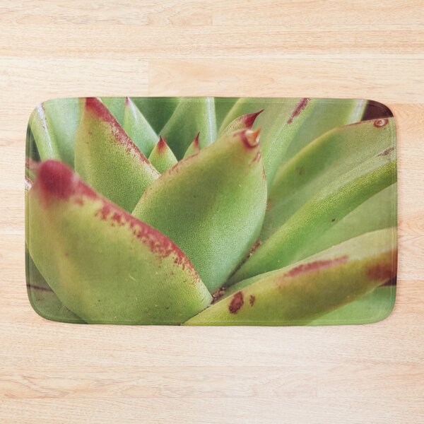 Item preview, Echeveria designed and sold by Elsabe Smith.