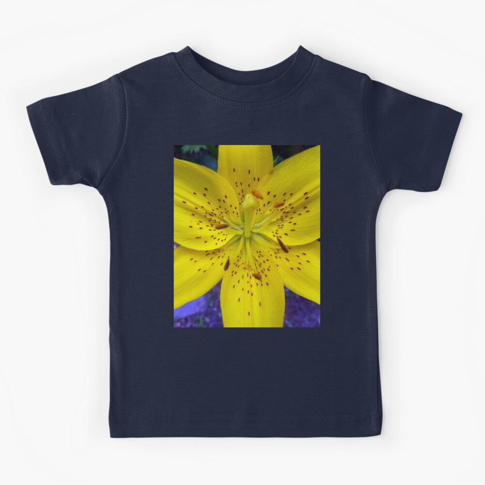 Yellow Flower Tiger Lily on Blue Background Day Lily Flowers