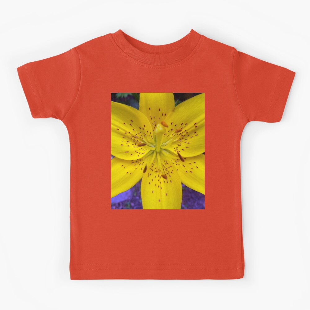 Yellow Flower Tiger Lily on Blue Background Day Lily Flowers